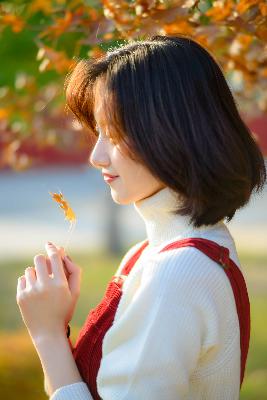 免费观看《小巷人家》电视剧？这里有你不知道的5个秘密！